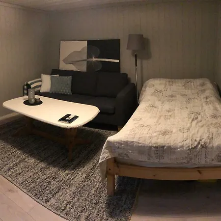 Koselig Enebolig I Barnevennlig Strok Villa